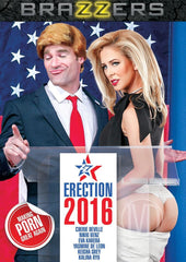 Zz Erection 2016