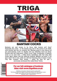 Bantam Cocks