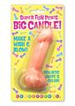 Candyprints Super Fun Penis Big Candle - Pink