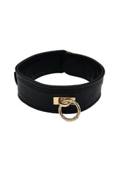 Leather Plain Collar with Gold Accessories - Black/Gold