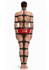 Master Series Backbone Full Body Harness