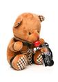 Master Series Gagged Plush Teddy Bear