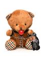 Master Series Gagged Plush Teddy Bear
