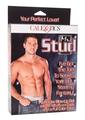 Mr Stud Love Doll