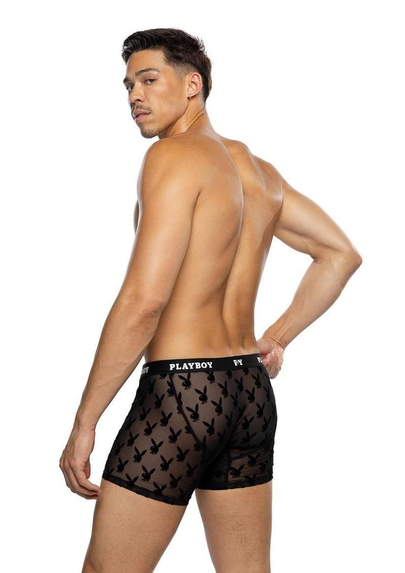 Playboy Men's Burnout Bunny Boxer Briefs - Black - Large