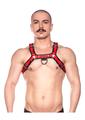 Prowler Red Bull Harness