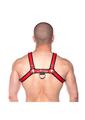 Prowler Red Bull Harness