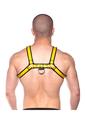 Prowler Red Bull Harness