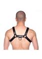 Prowler Red Bull Harness
