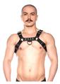 Prowler Red Bull Harness