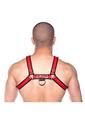 Prowler Red Bull Harness