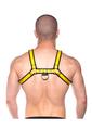 Prowler Red Bull Harness