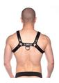 Prowler Red Bull Harness