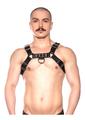 Prowler Red Bull Harness