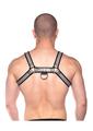 Prowler Red Bull Harness