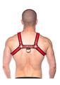 Prowler Red Bull Harness