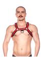 Prowler Red Bull Harness