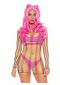 Rainbow Fishnet Long Sleeve Mini Dress
