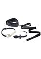 Tailz Puppy Play Kit