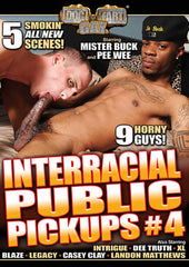 Interracial Public Pickups 04