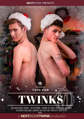Toys For Twinks