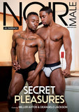 Secret Pleasures