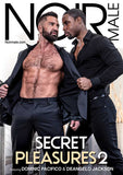 Secret Pleasures 02