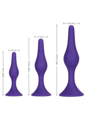 Booty Call Booty Trainer Starter Kit Silicone Anal Plugs 3 Assorted Sizes