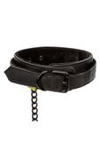 Boundless Collar and Leash