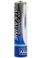 Doc Johnson Alkaline Batteries AAA
