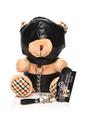 Master Series Hooded Plush Teddy Bear