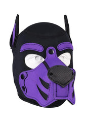 Merci Neoprene Puppy Hood - Black/Purple