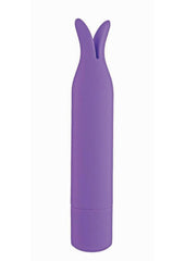 Mini's Arousal Rechargeable Mini Vibrator