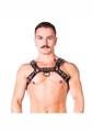 Prowler Red Bull Harness