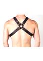 Prowler Red X Chest Harness - XXLarge - Black/Brass