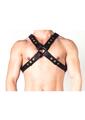 Prowler Red X Chest Harness - XXLarge - Black/Brass
