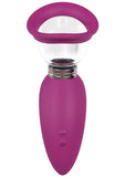 Pumped Arousing Automatic 5 Speed Silicone Rechargeable Vulva Clitoral Nipple and Breast Pump