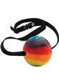 Rainbow Candy Ball Gag Assorted Flavor