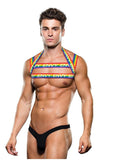 Rainbow Harness - Rainbow - Large/XLarge