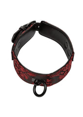 Scandal Collar with Leash