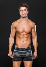 Seamless Trunk Gray Stripes W Logo
