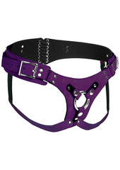 Strap U Bodice Deluxe Leather Corset Harness - Metal/Purple