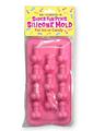 Super Fun Penis Silicone Mold